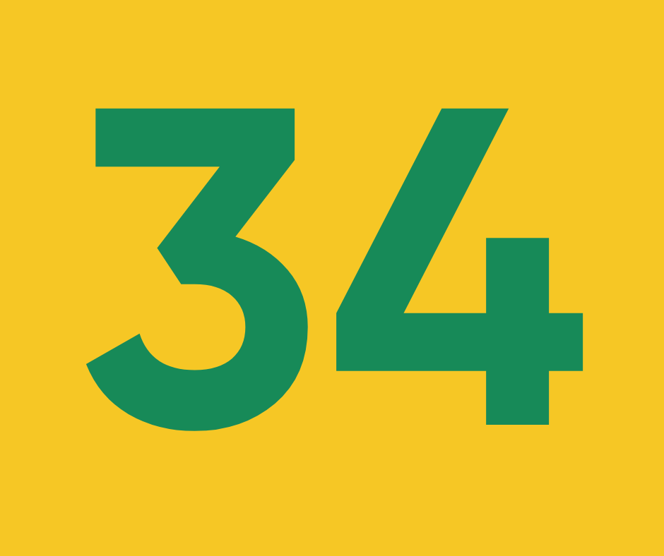 Дівоче гніздо ч.34 “Лісові хащі”
