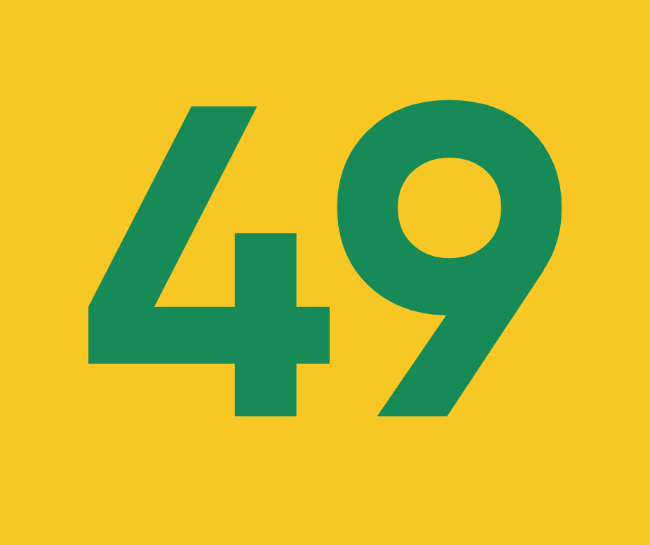 Хлопчаче гніздо ч.49 “Прайд”