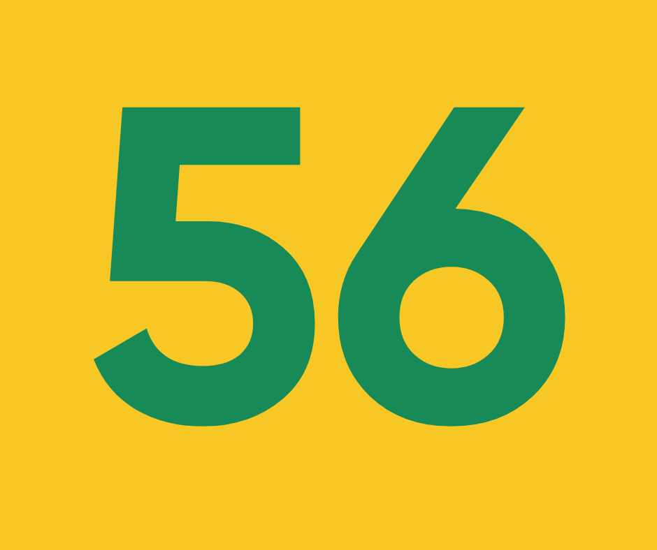 Дівоче гніздо ч.56 “Рута-м’ята”