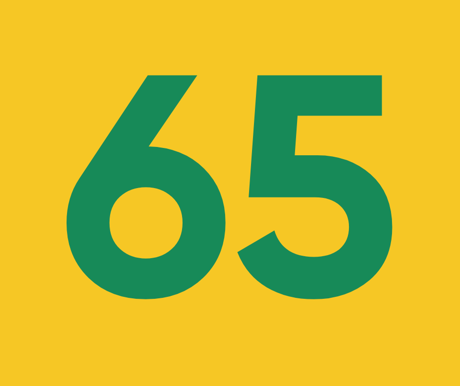 Хлопчаче гніздо ч.65 “Вартові степу”