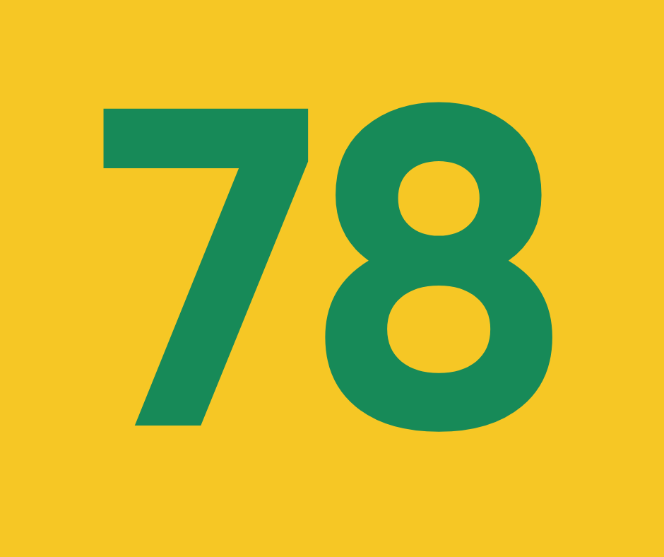 Дівоче гніздо ч.78 “На сторожі світла”